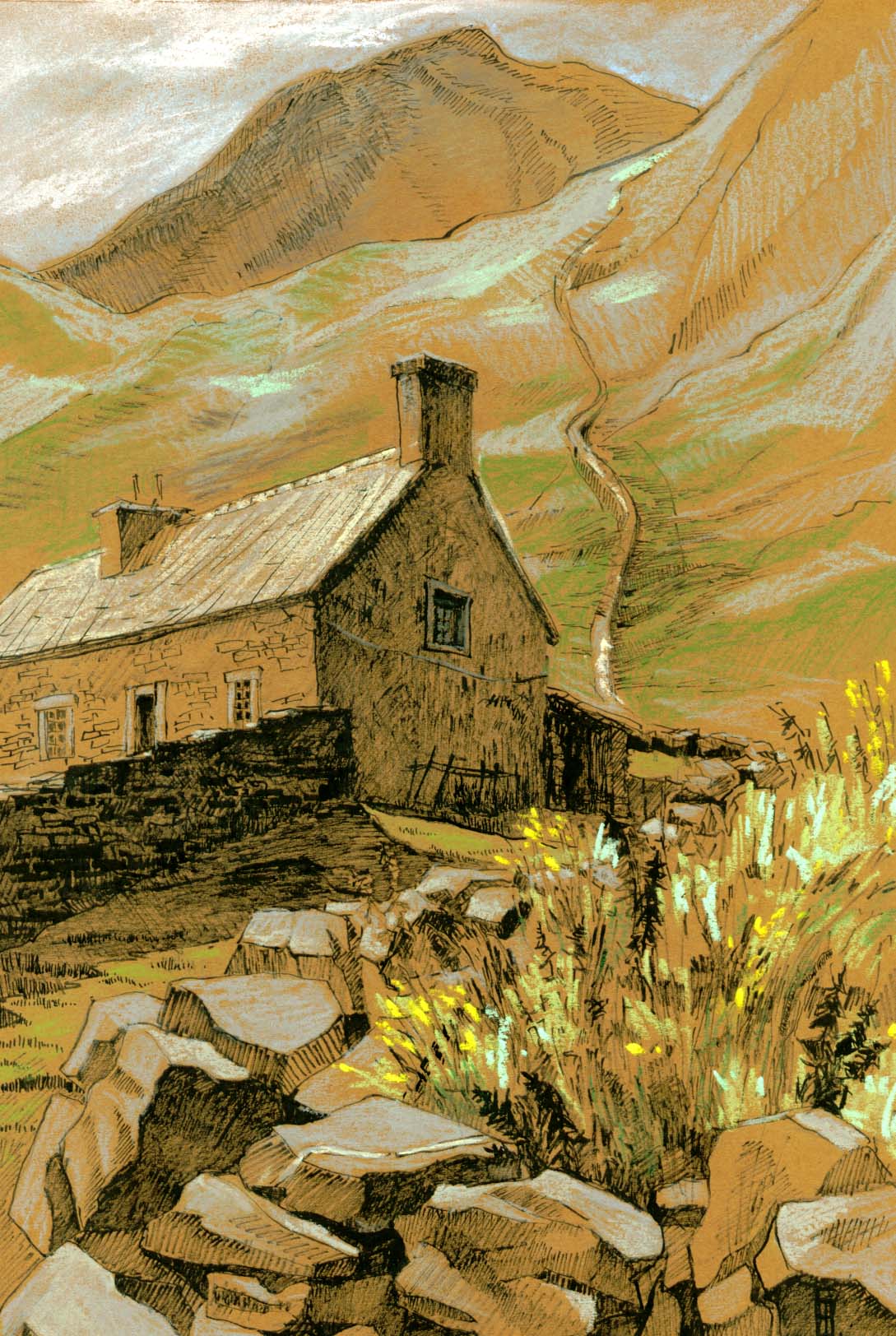 Moonlight Flowers (Giclée Print)