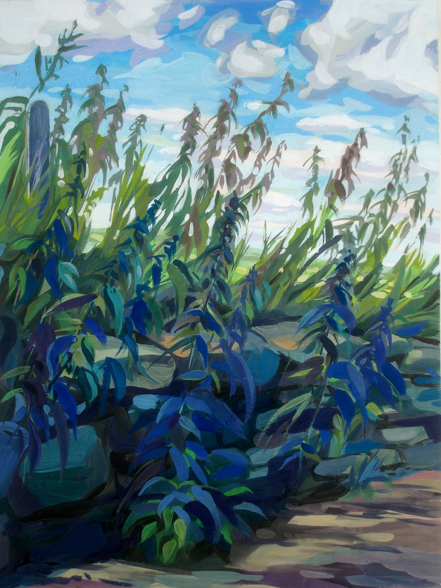 Nettles at Grange Moor