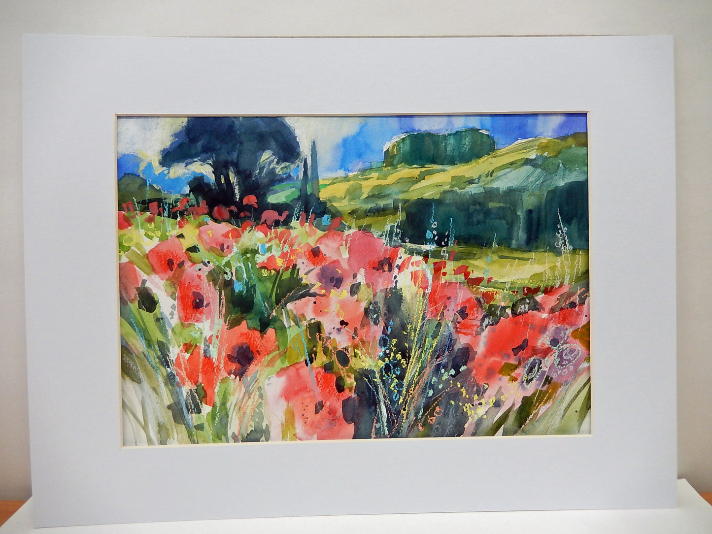 Poppies Field