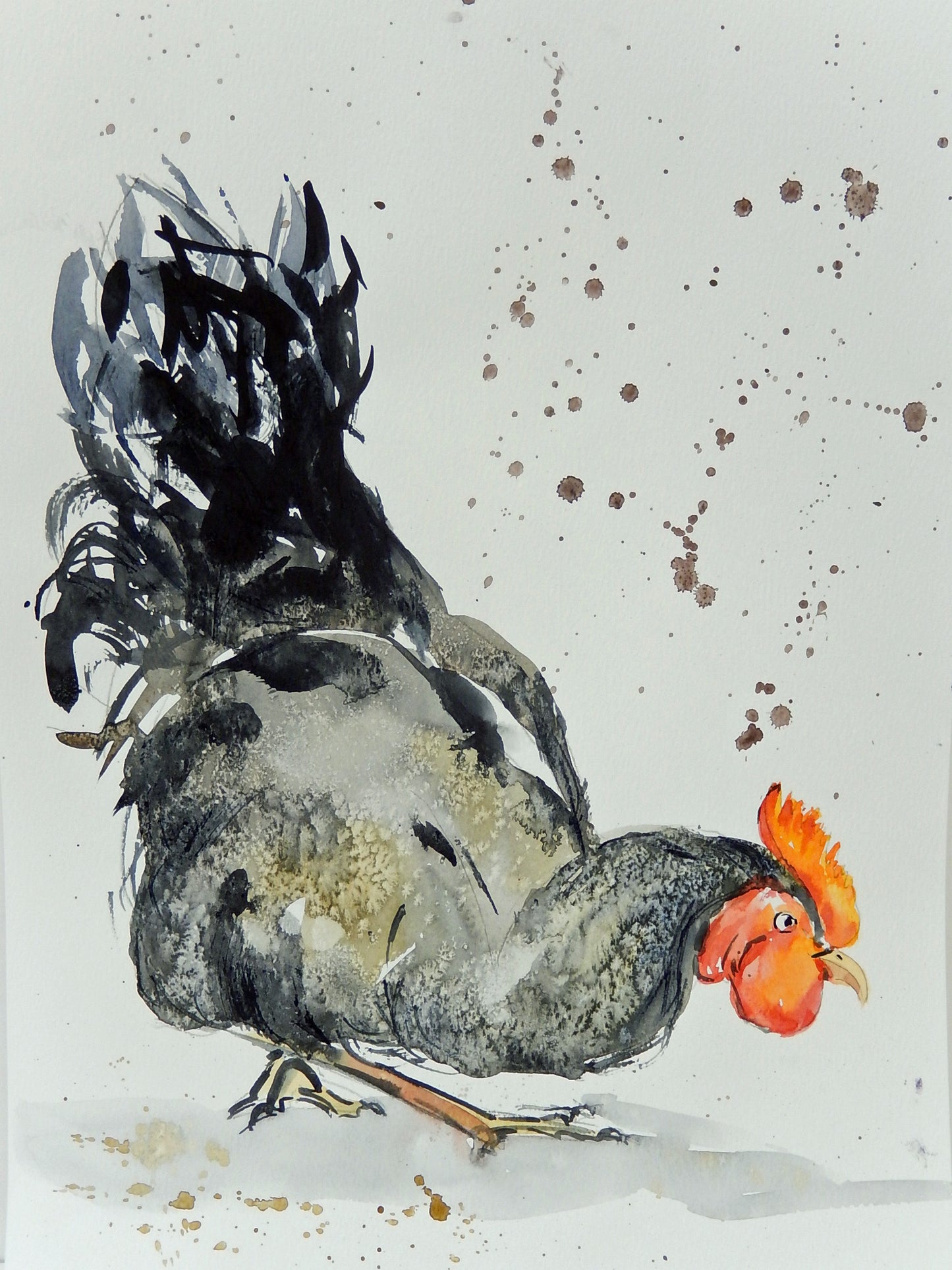 Rooster Sketch, inspired by Lucy Newton