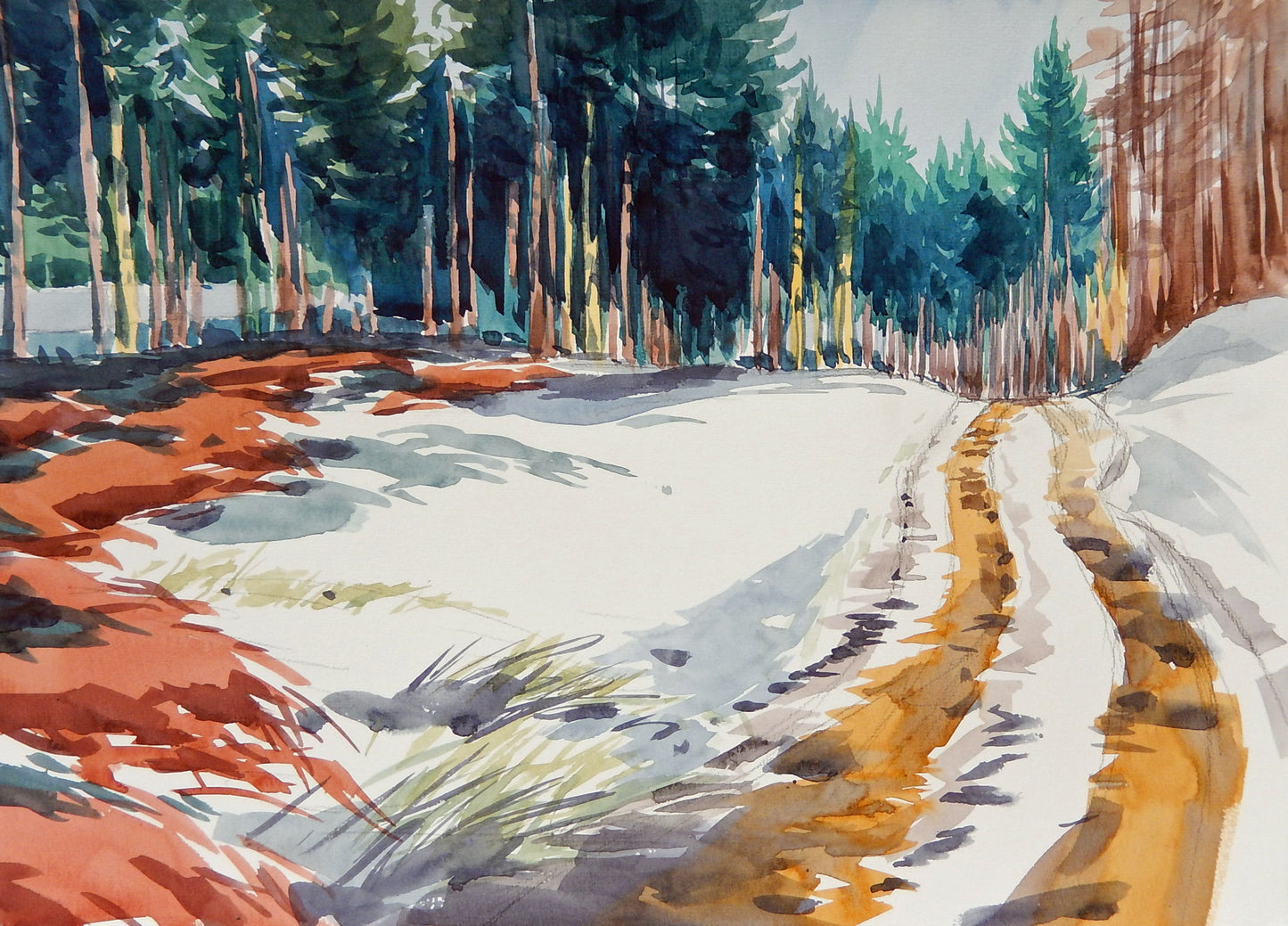 Snow at Denby Woods