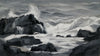 Tonal Study of the Waves, oil