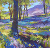 Bluebells at the Lakes