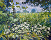 Cow Parsley