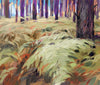 Forest Ferns