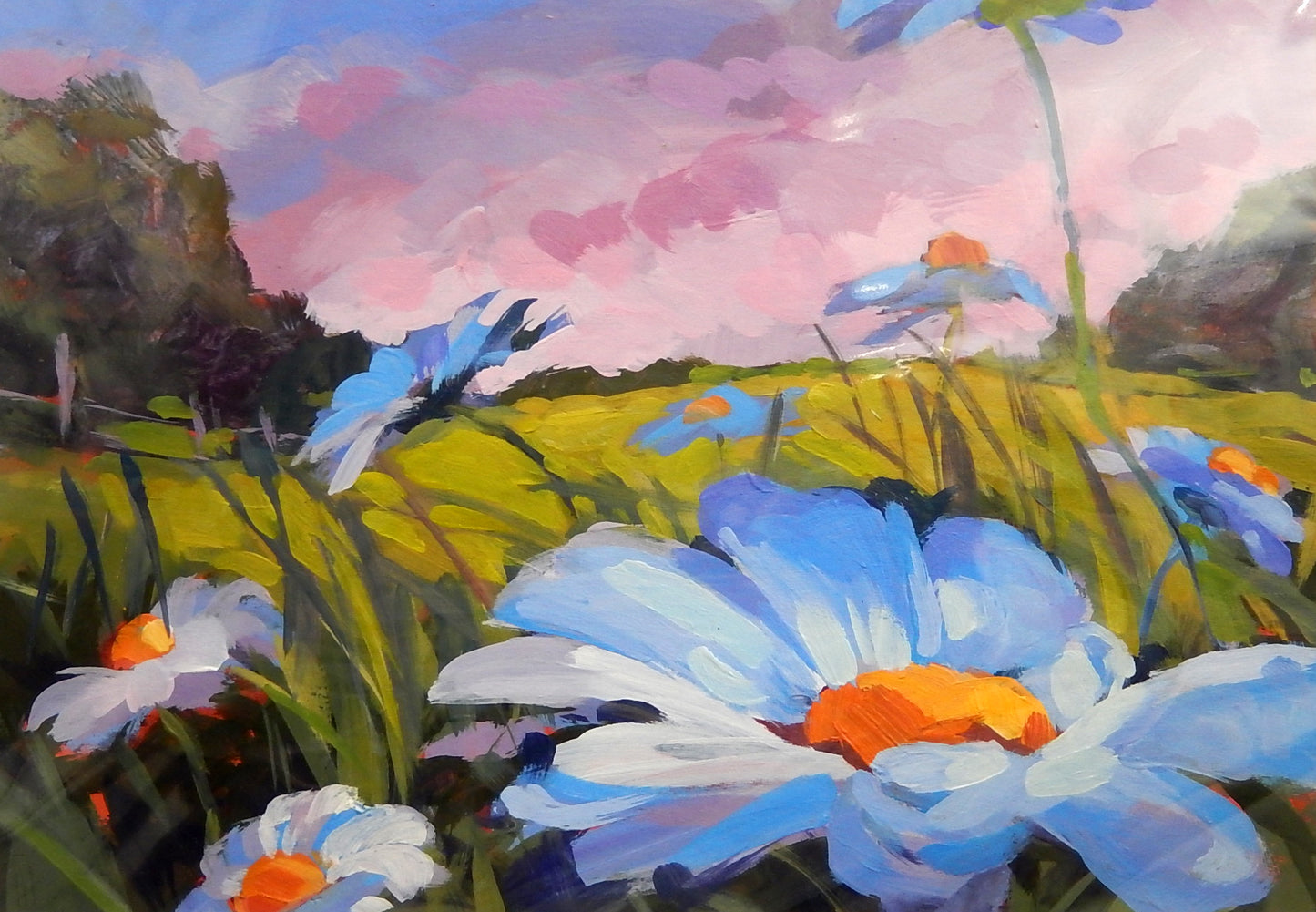 Meadow of Daisies