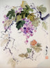Grape vine
