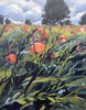 Poppies and Barley