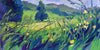 Summer Greens and Buttercups (greeting card)