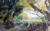 Through the Hedge
