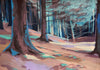 Autumn Woodland