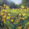 Buttercups in May
