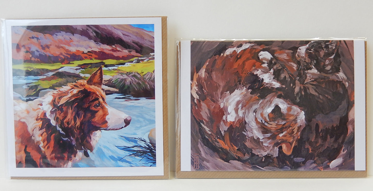 Exploring (greeting card)
