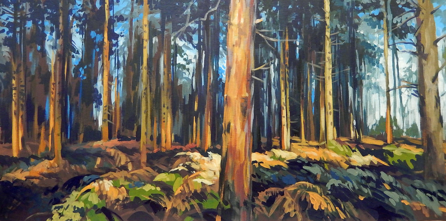 Denby Woods