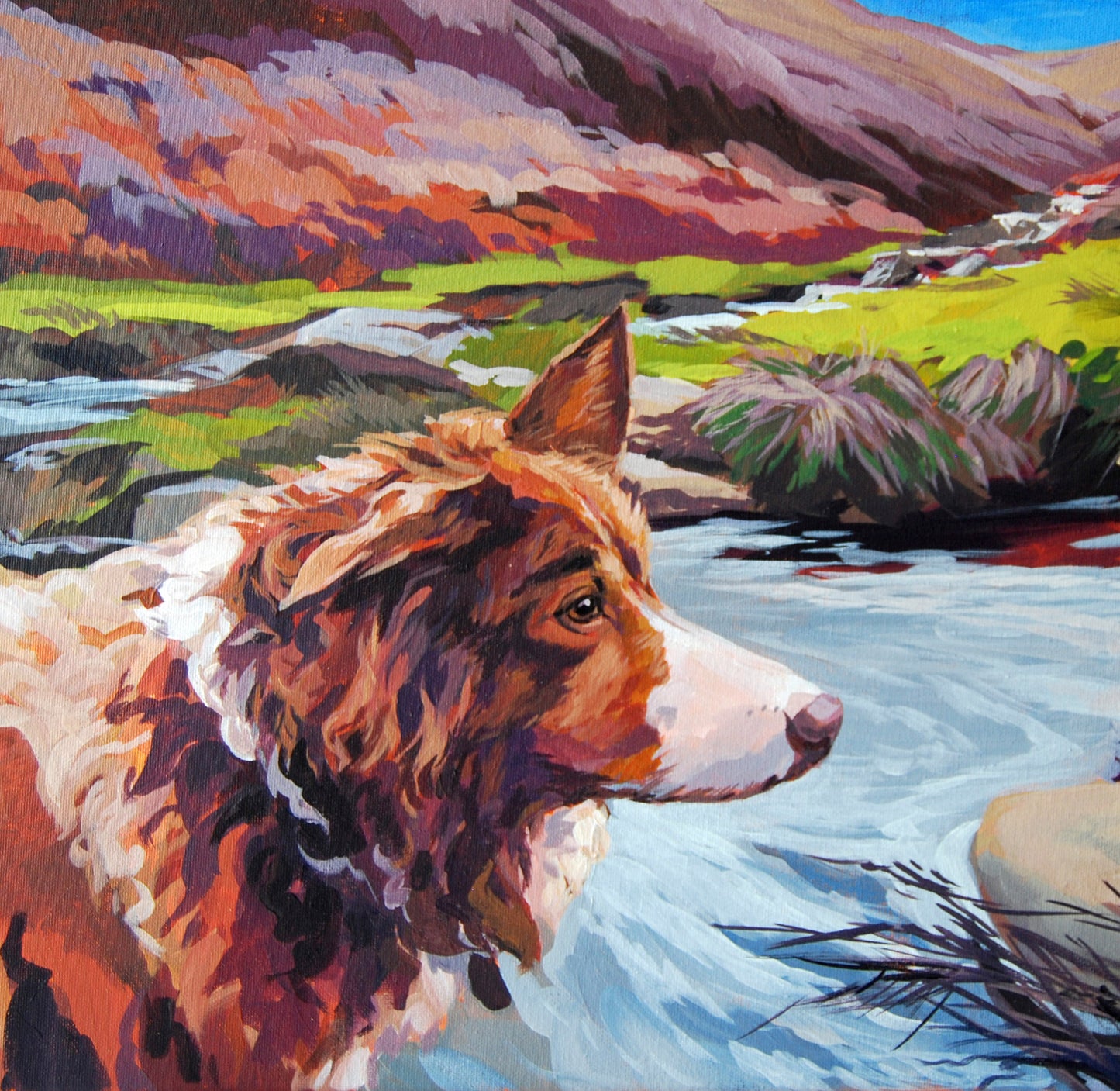 Exploring (greeting card)