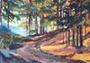 Morning Sunlight (greeting card)