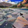 Shotover River at Authurs Point, New Zealand (greeting card)