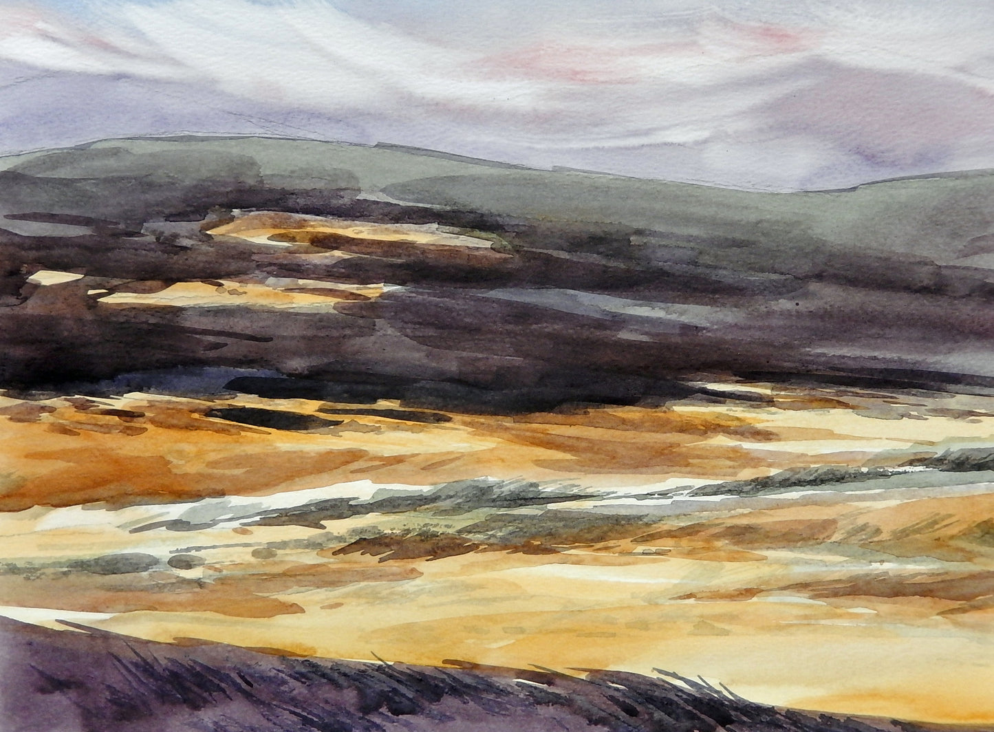 Yorkshire Moors, Study